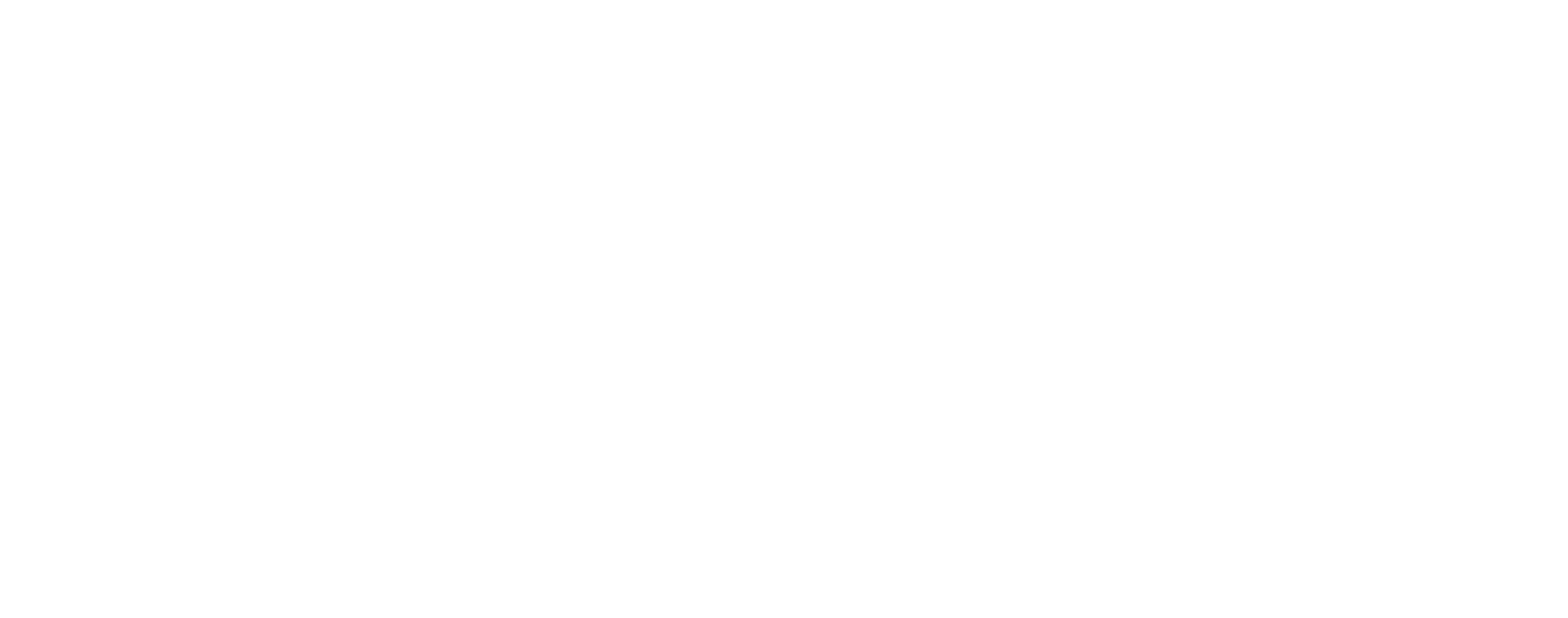 Bora Esthetic Institut - Logo